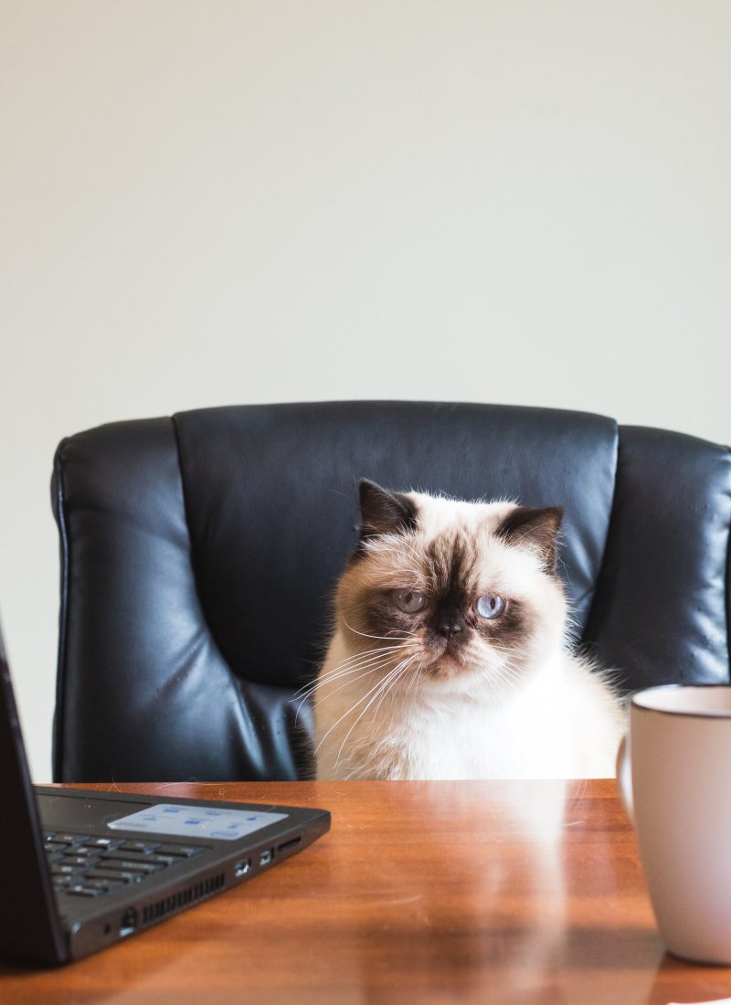 Is Your Blog Breaking the Law?
